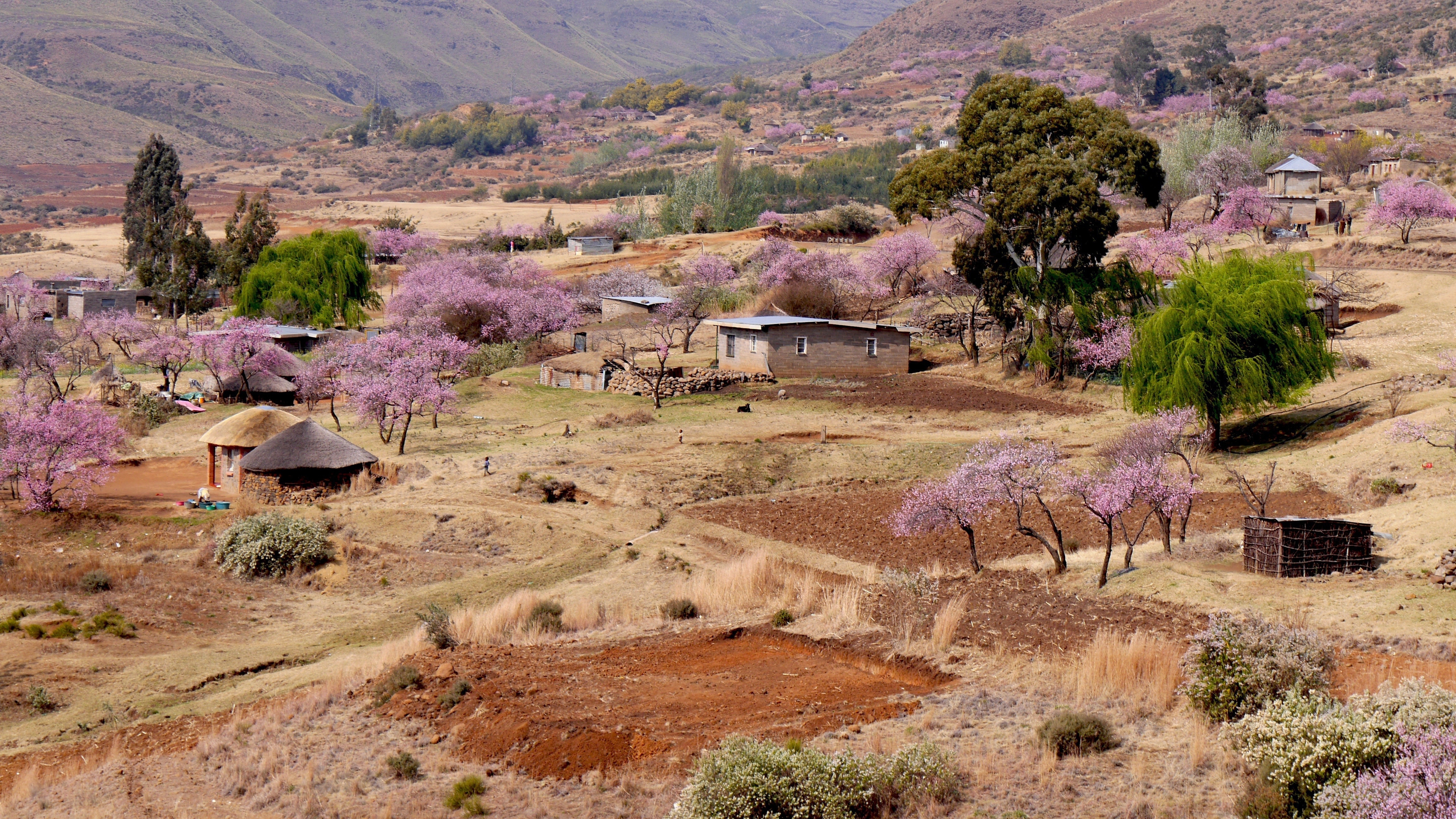 Lesotho hero image 0